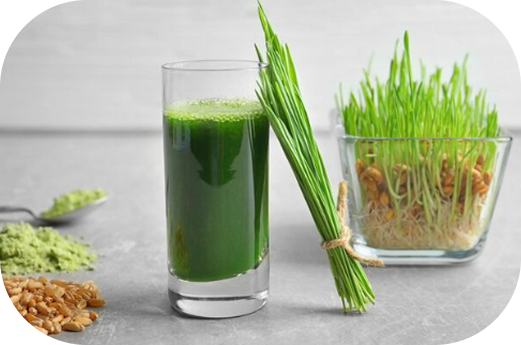 Интересные факты Интересные факты