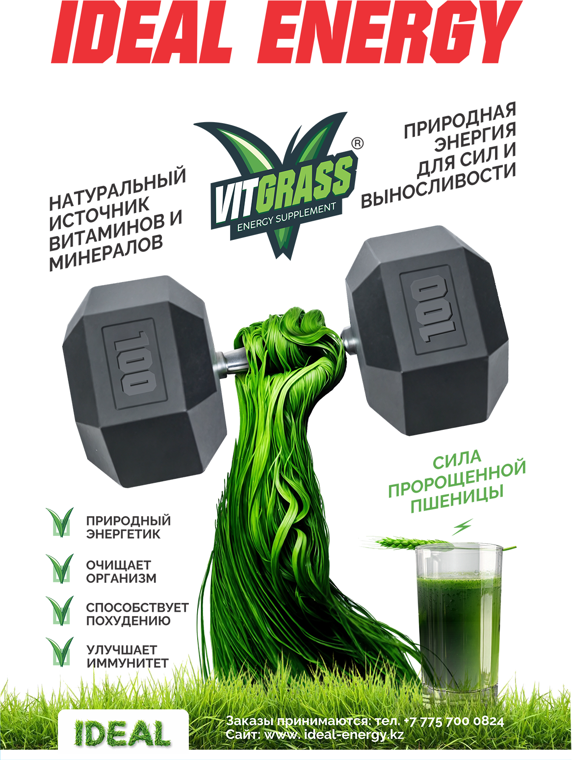 Инфопостер Инфопостер