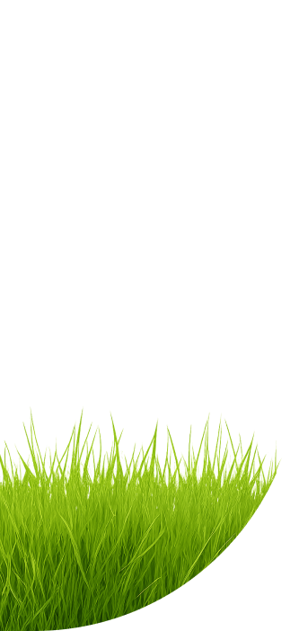 Vigrass натуральная добавка Vigrass натуральная добавка