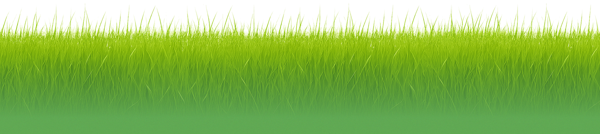 Vigrass натуральная добавка